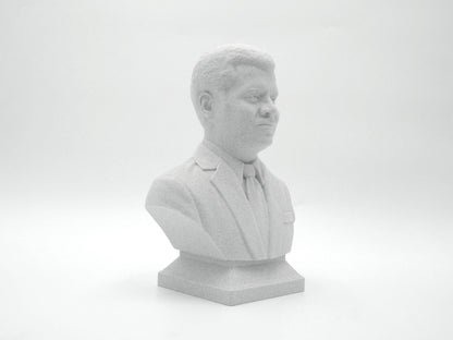 Neil deGrasse Tyson Bust - Astrophysicist Sculpture | Science Decor Gift